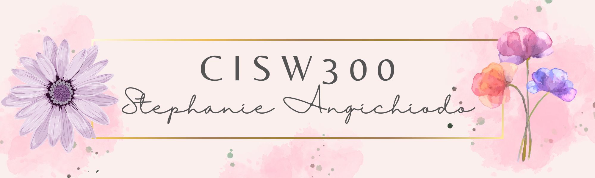 Cisw300 banner