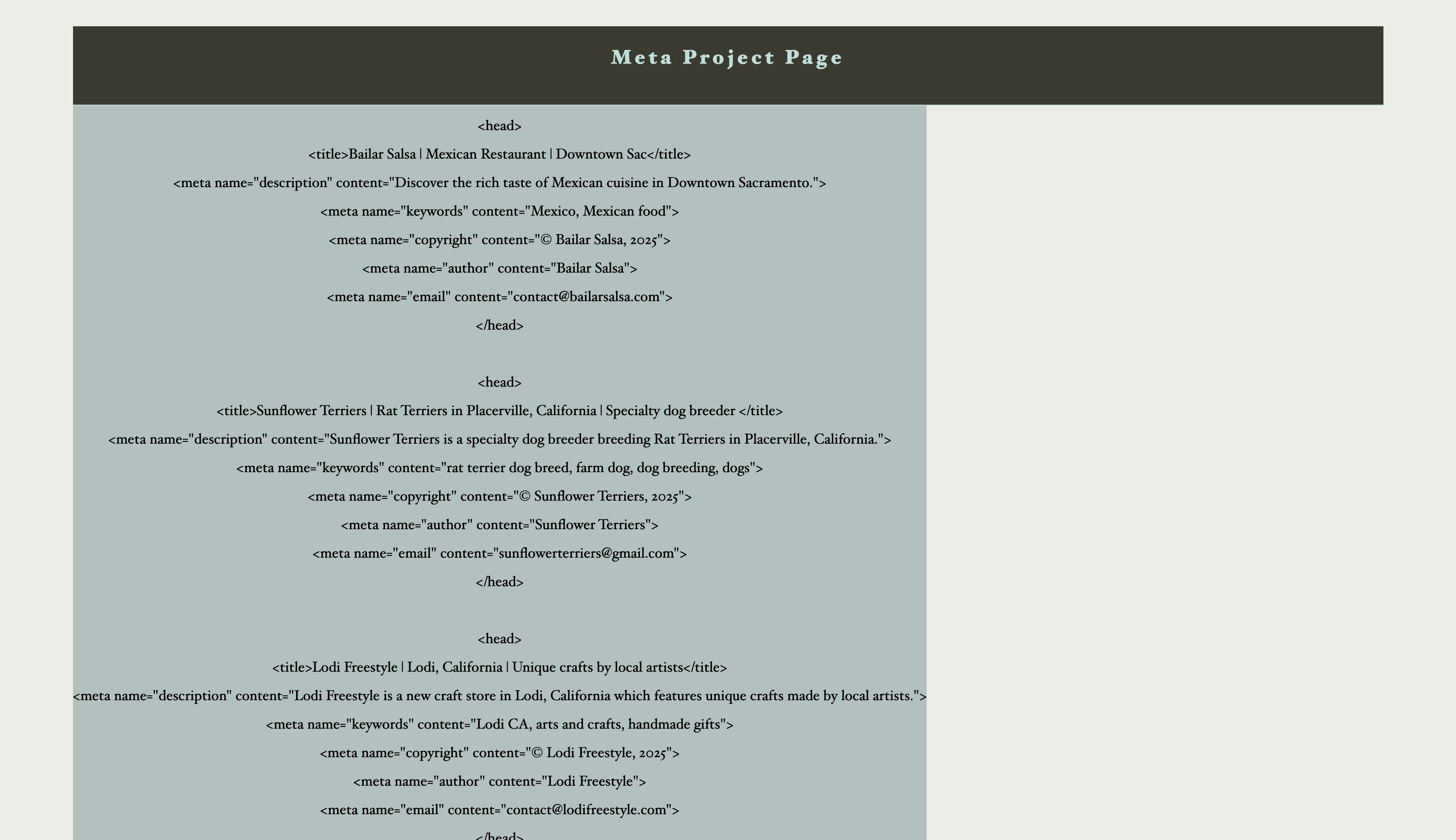 Meta Project Thumbnail