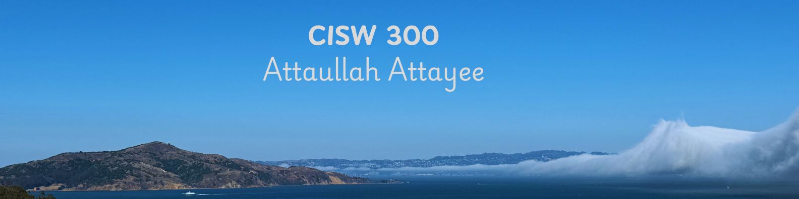 CISW 300 Banner Image