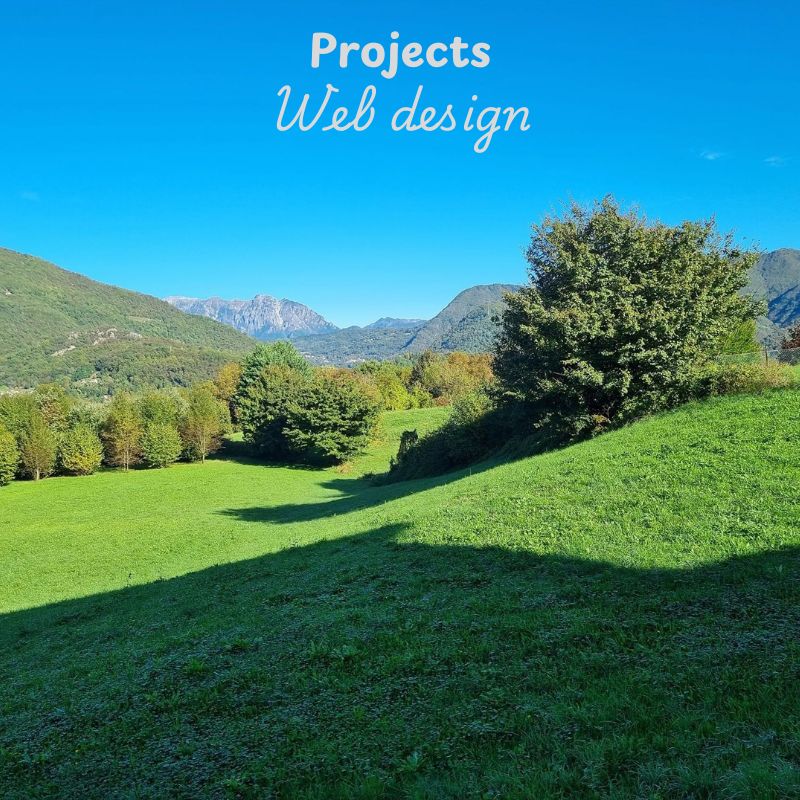 projectswebdesign Image