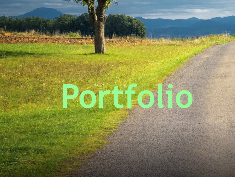 Portfolio