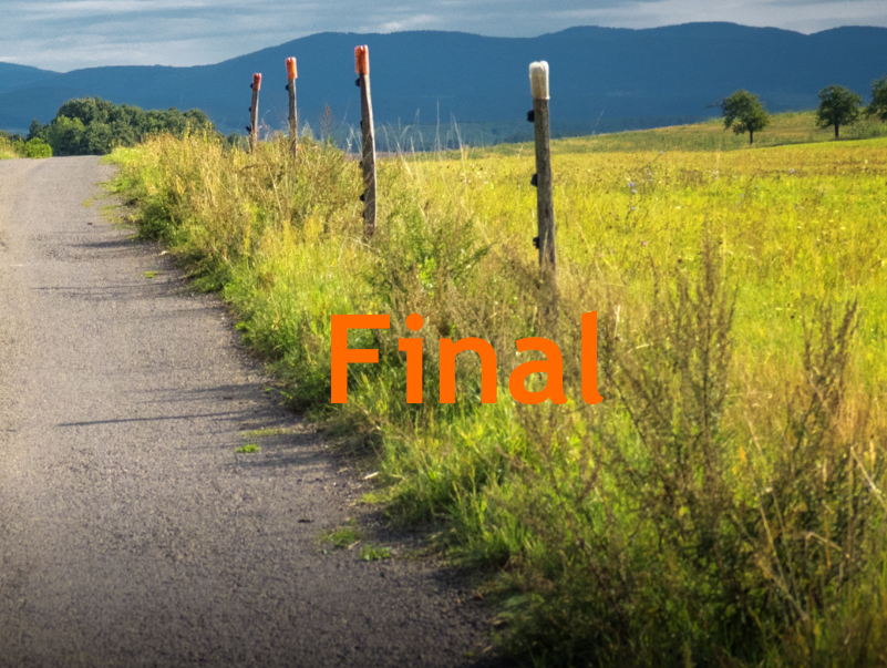 Final