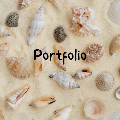 Portfolio Image