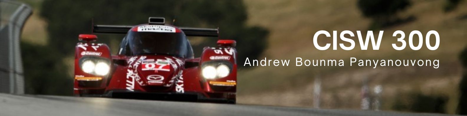 CISW 300 Banner