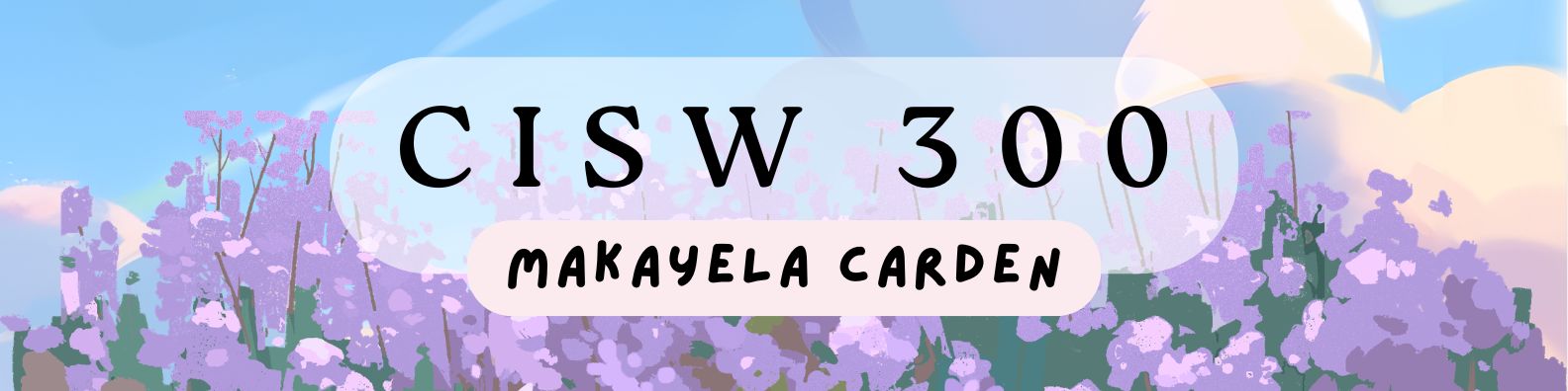 Banner for CISW 300