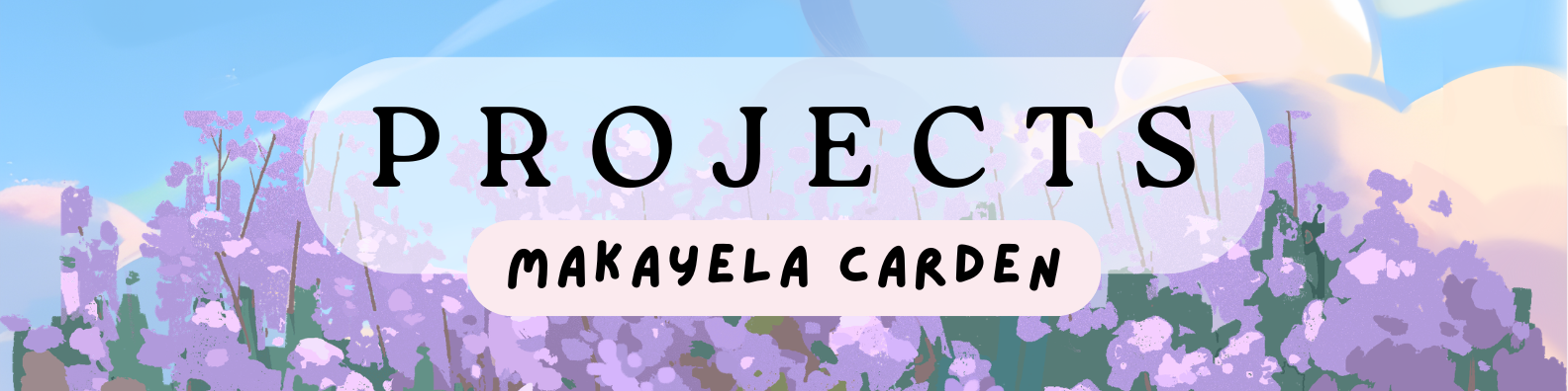 Banner for CISW 300 Projects