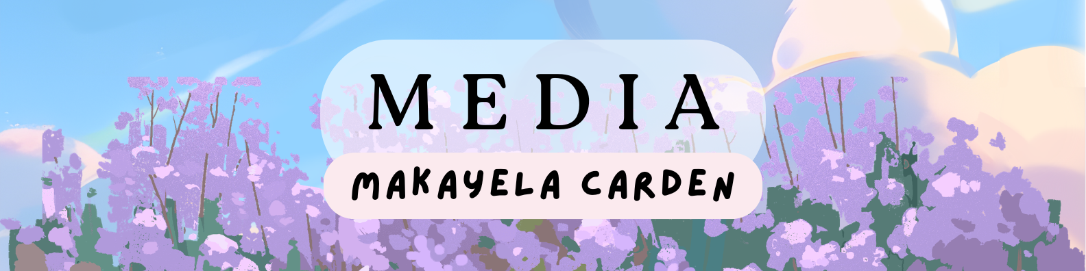 Banner for CISW 300 Media