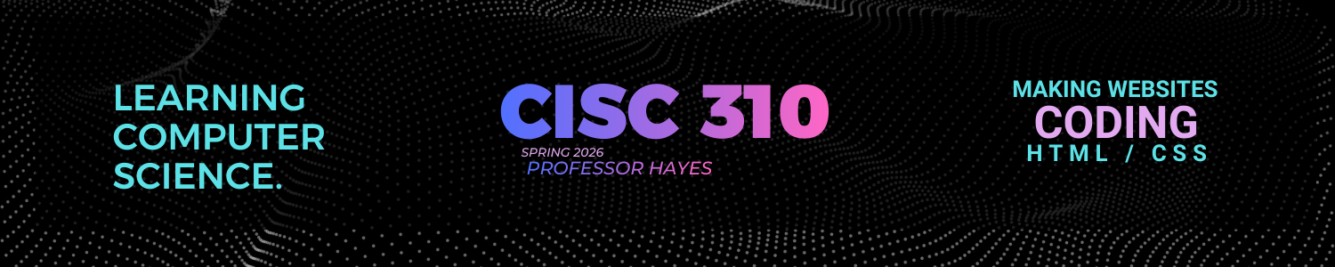 Banner CISC 310
