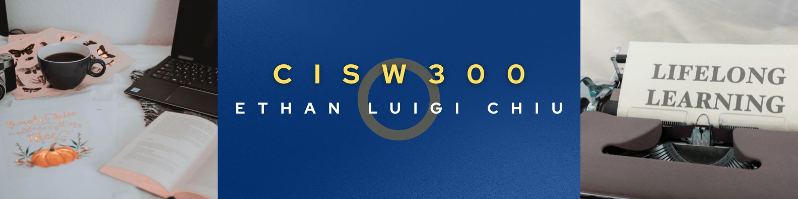 CISW 300 banner