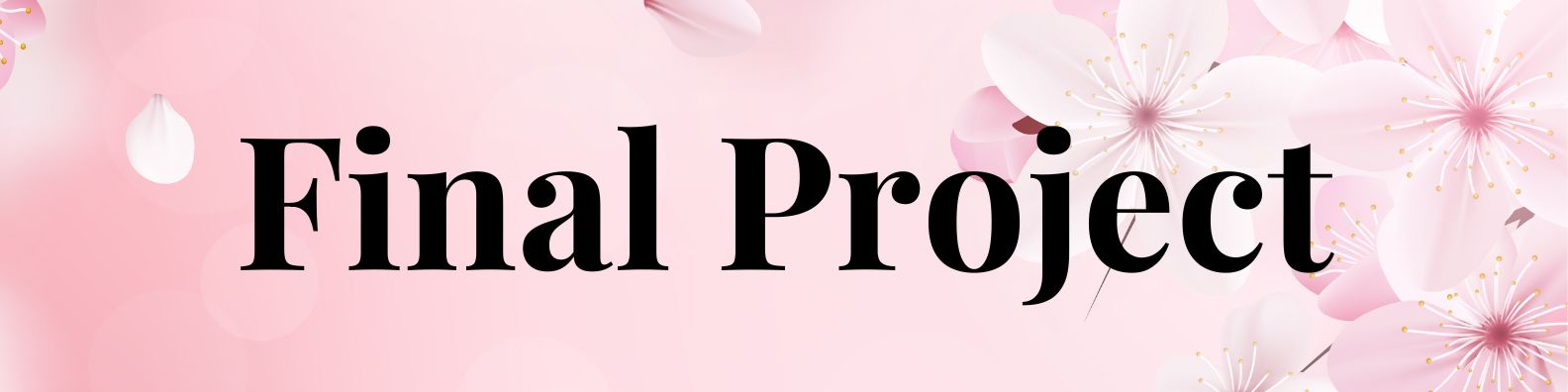 CISW 300 Final Project Banner