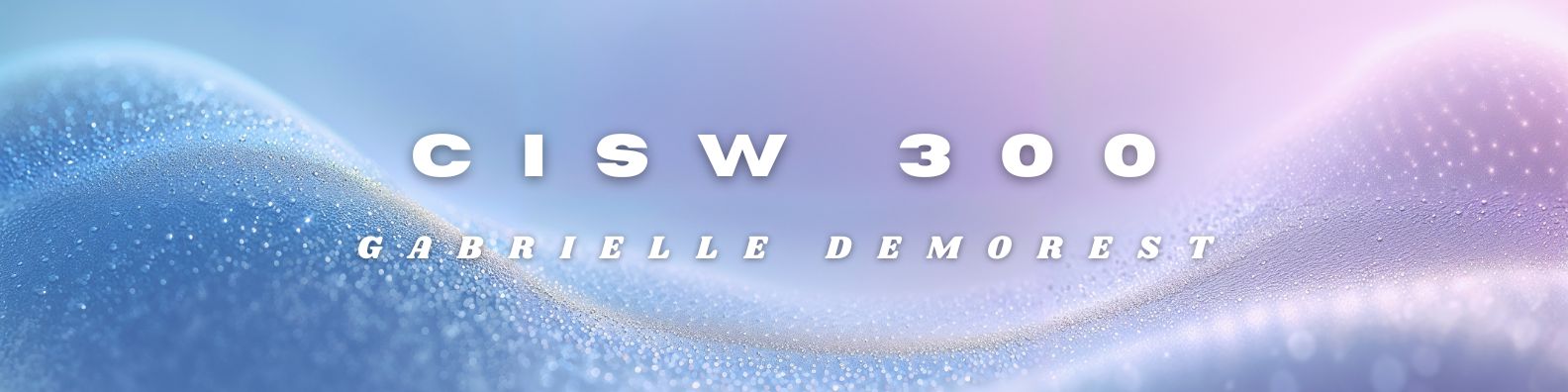 CISW 300 Banner