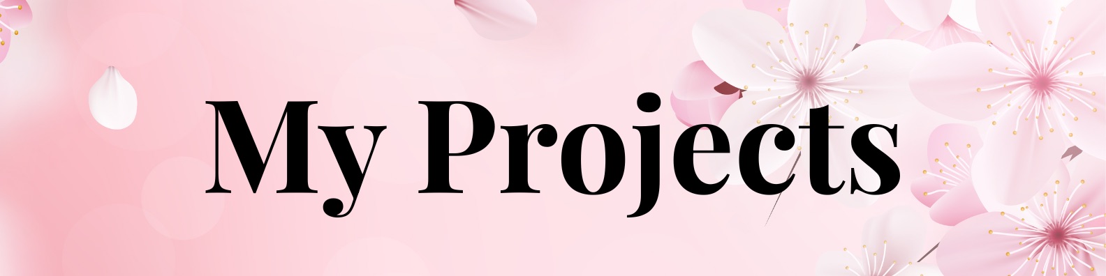 CISW 300 Project Banner