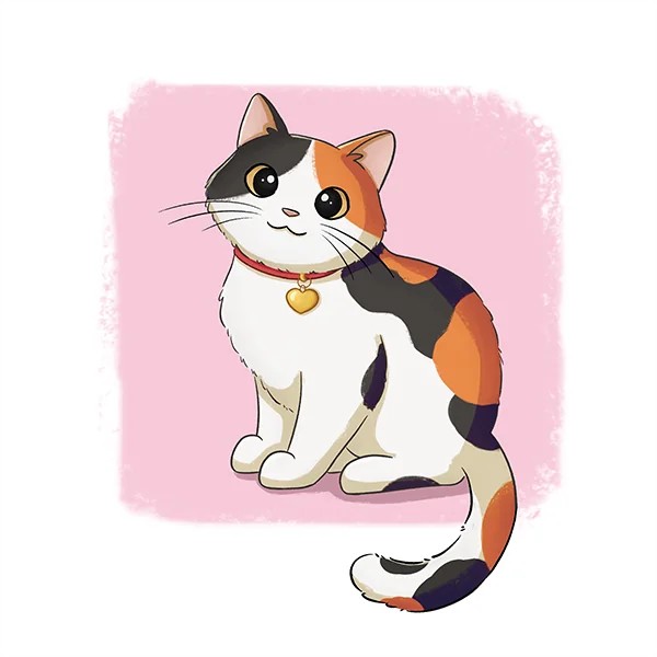cat picture