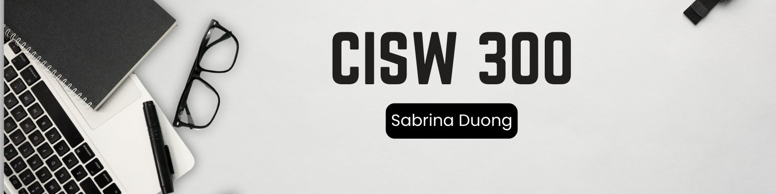 CISW 300 Banner