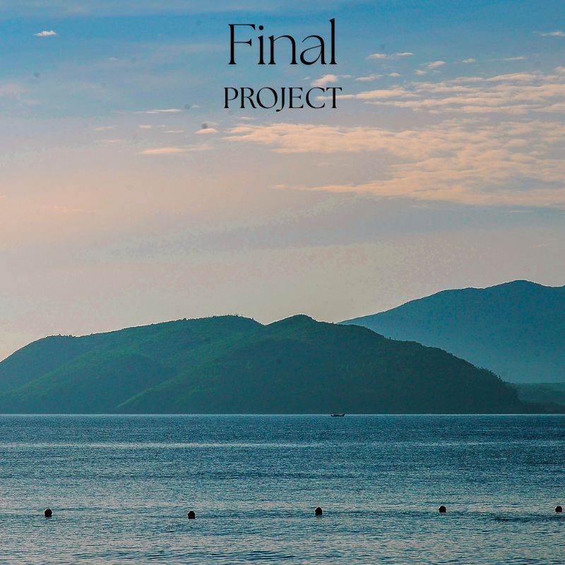 Final Project Image