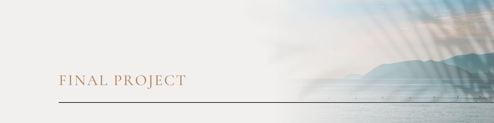 Final Project Banner