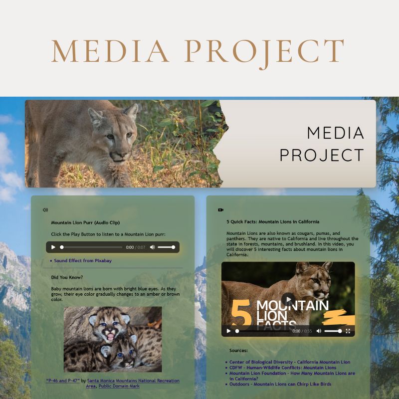 Media Page Thumbnail