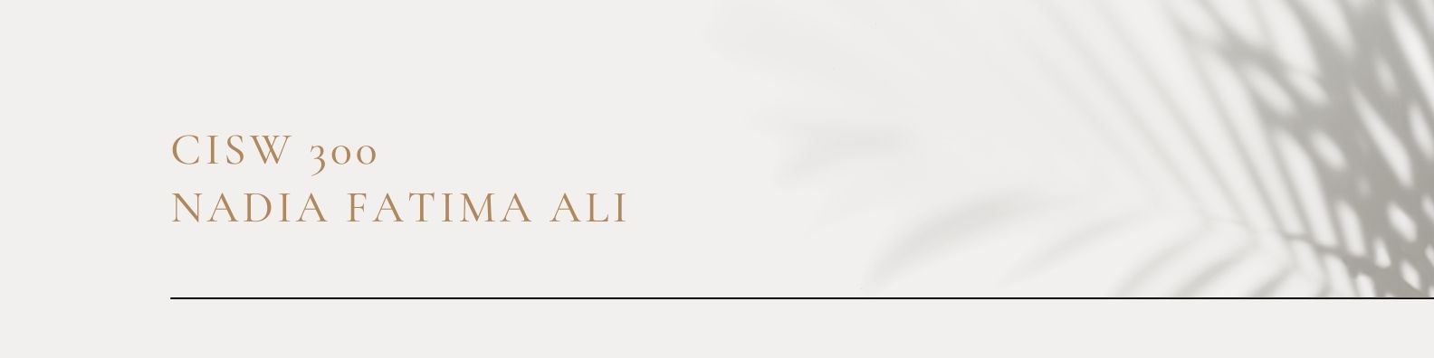 CISW 300 Banner Image