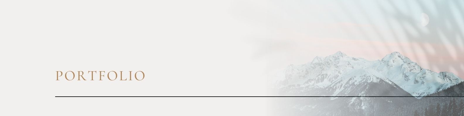 Portfolio Banner
