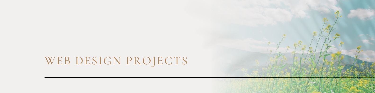 Projects Banner