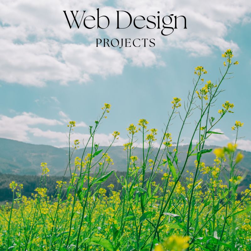Web Design Projects Image