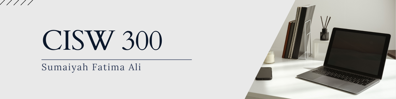 CISW 300 Banner