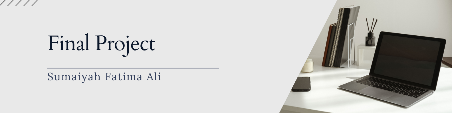 Final Project Banner