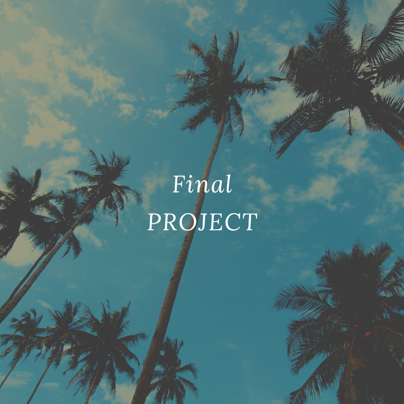 Final Project Image