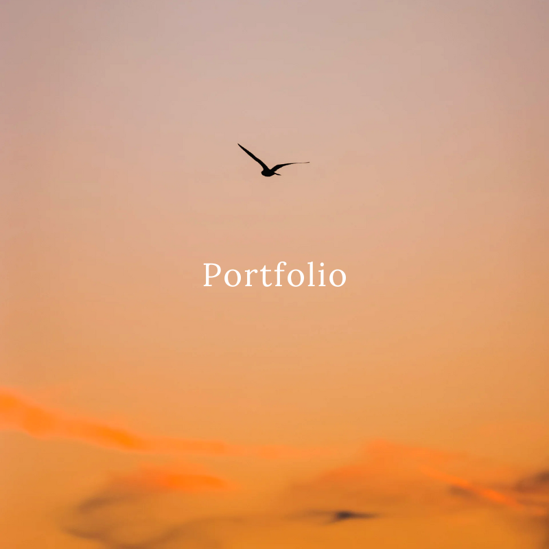 Portfolio Image
