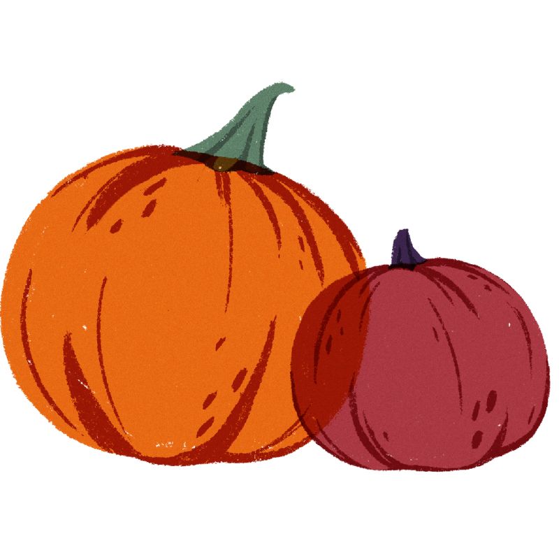 two pumpkins