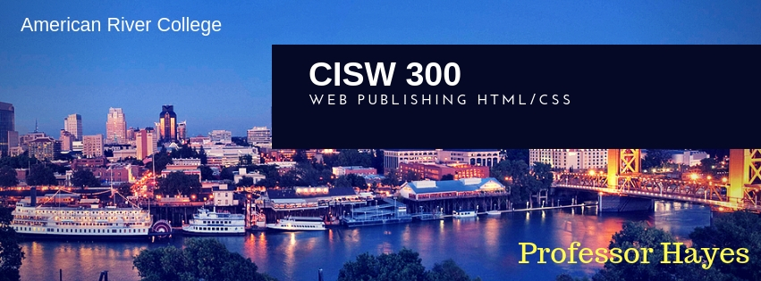 Banner for CISW 300