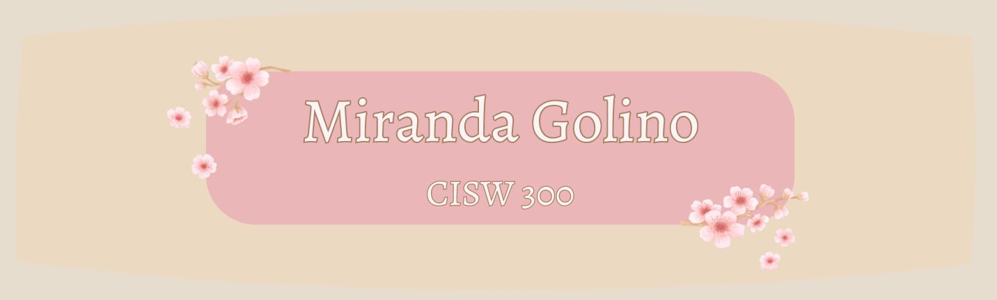 Banner for CISW 300