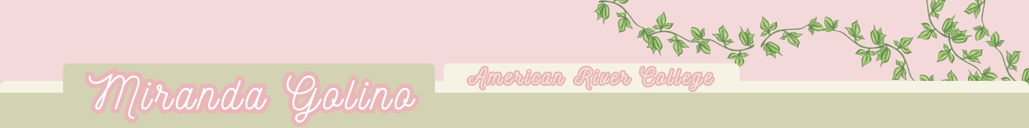 Banner CISW 300