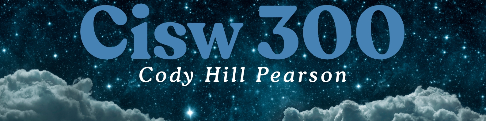 Banner for CISW 300