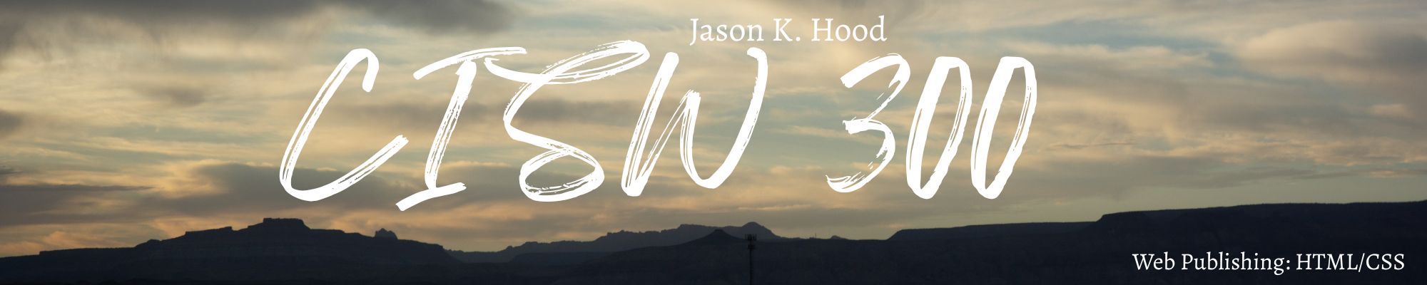 CISW 300 banner image