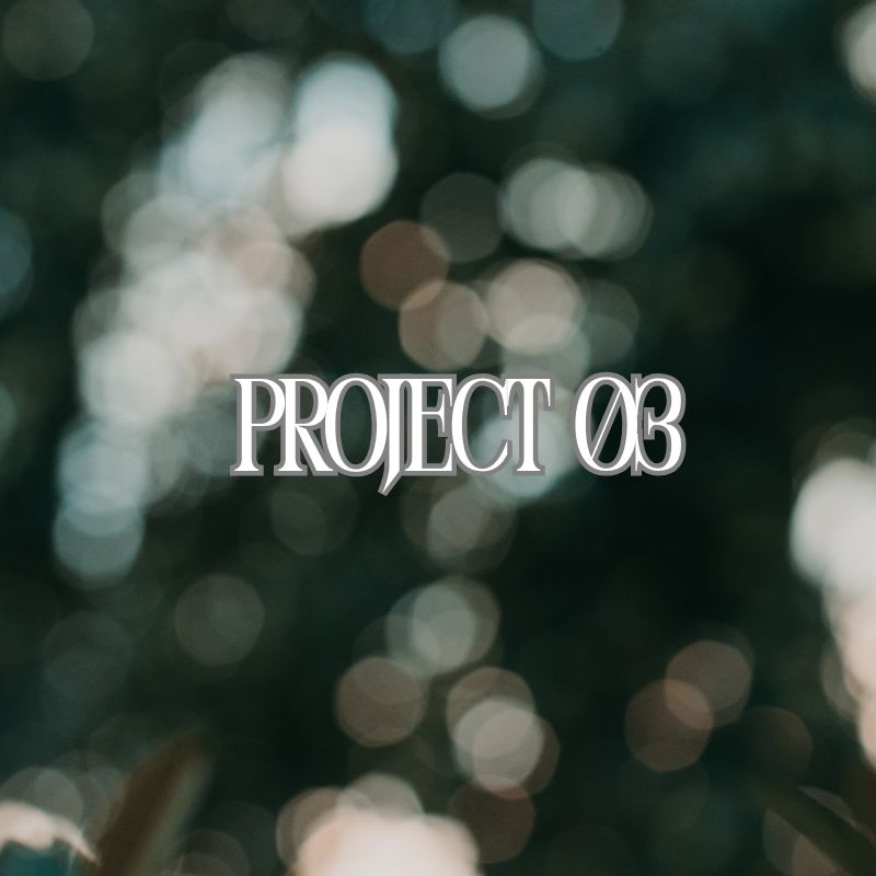 projects image