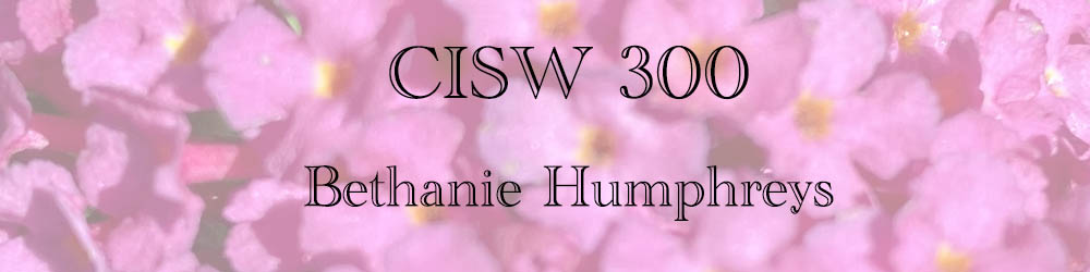 CISW 300 banner