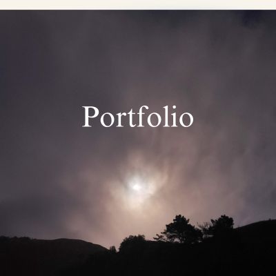 Portfolio Image