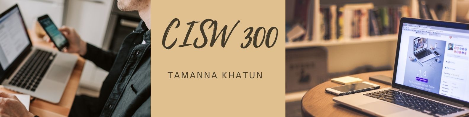 CISW 300 banner