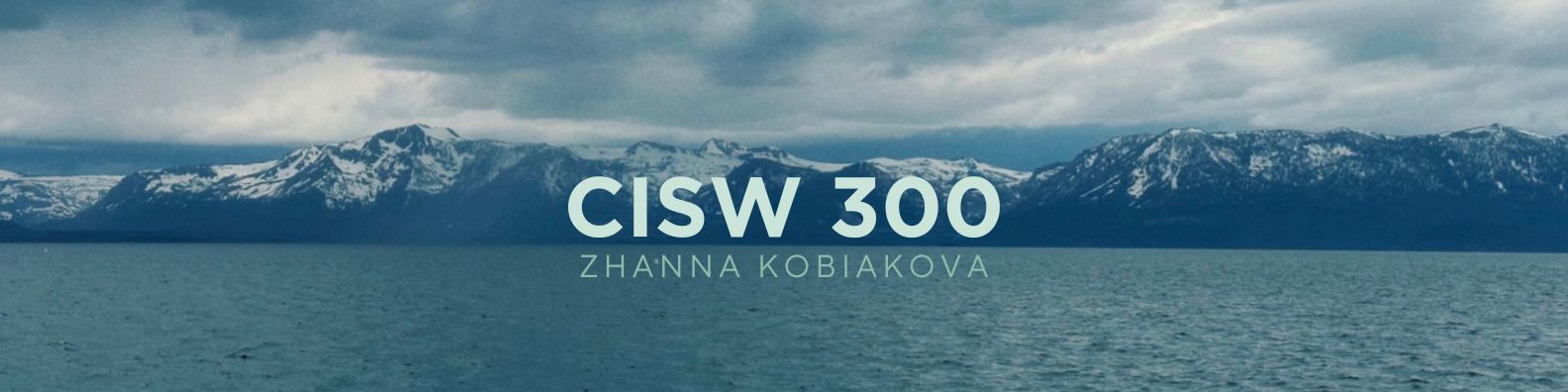 Banner for CISW 300