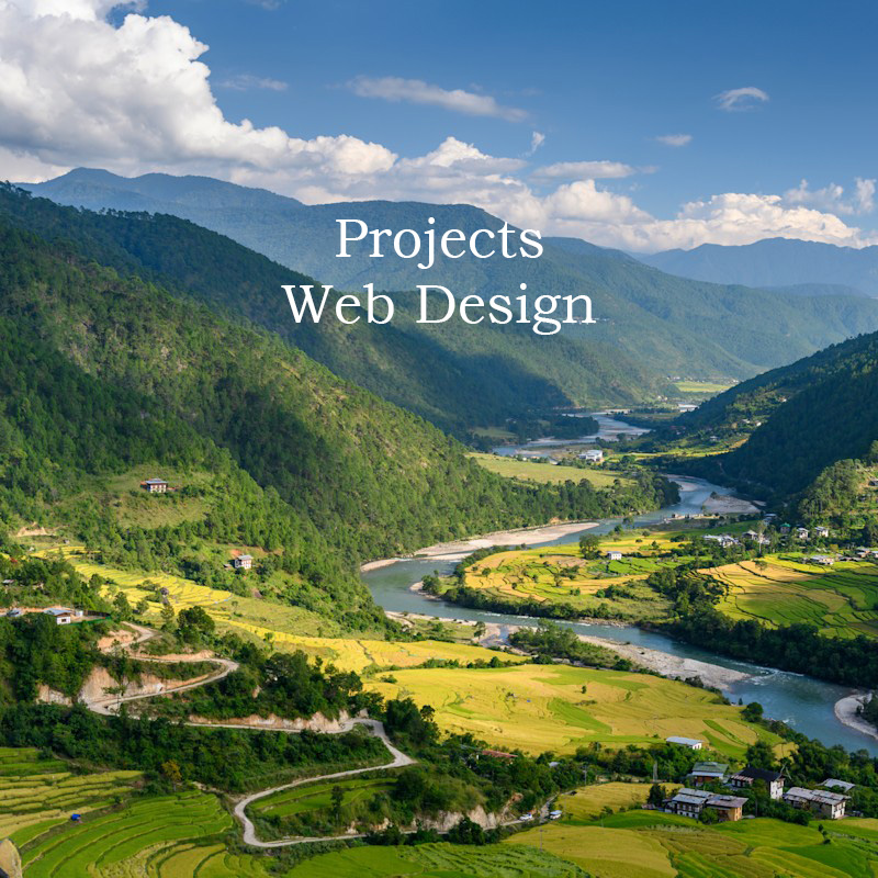 Projectts Web Design Image