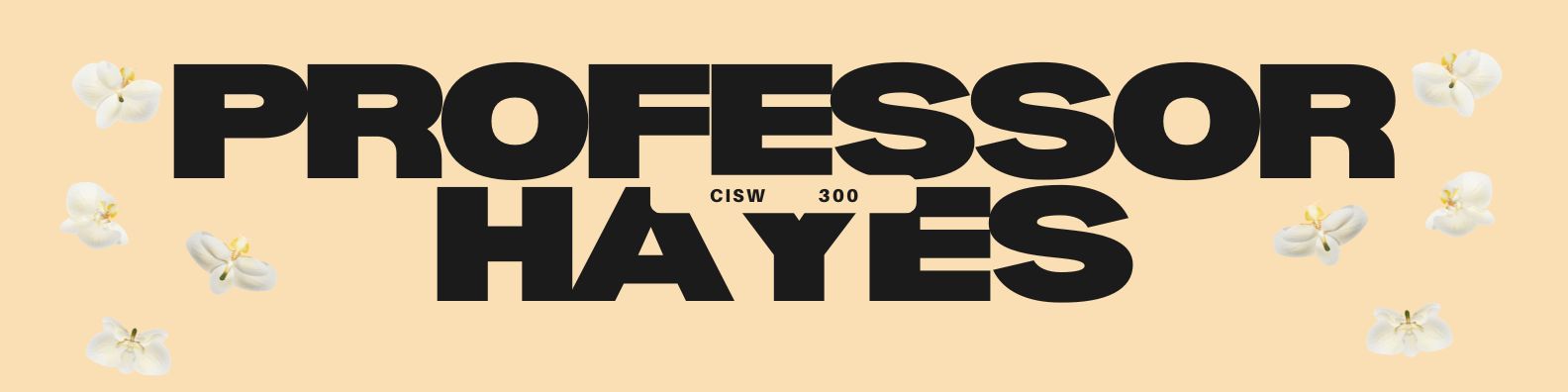 CISW 300 banner