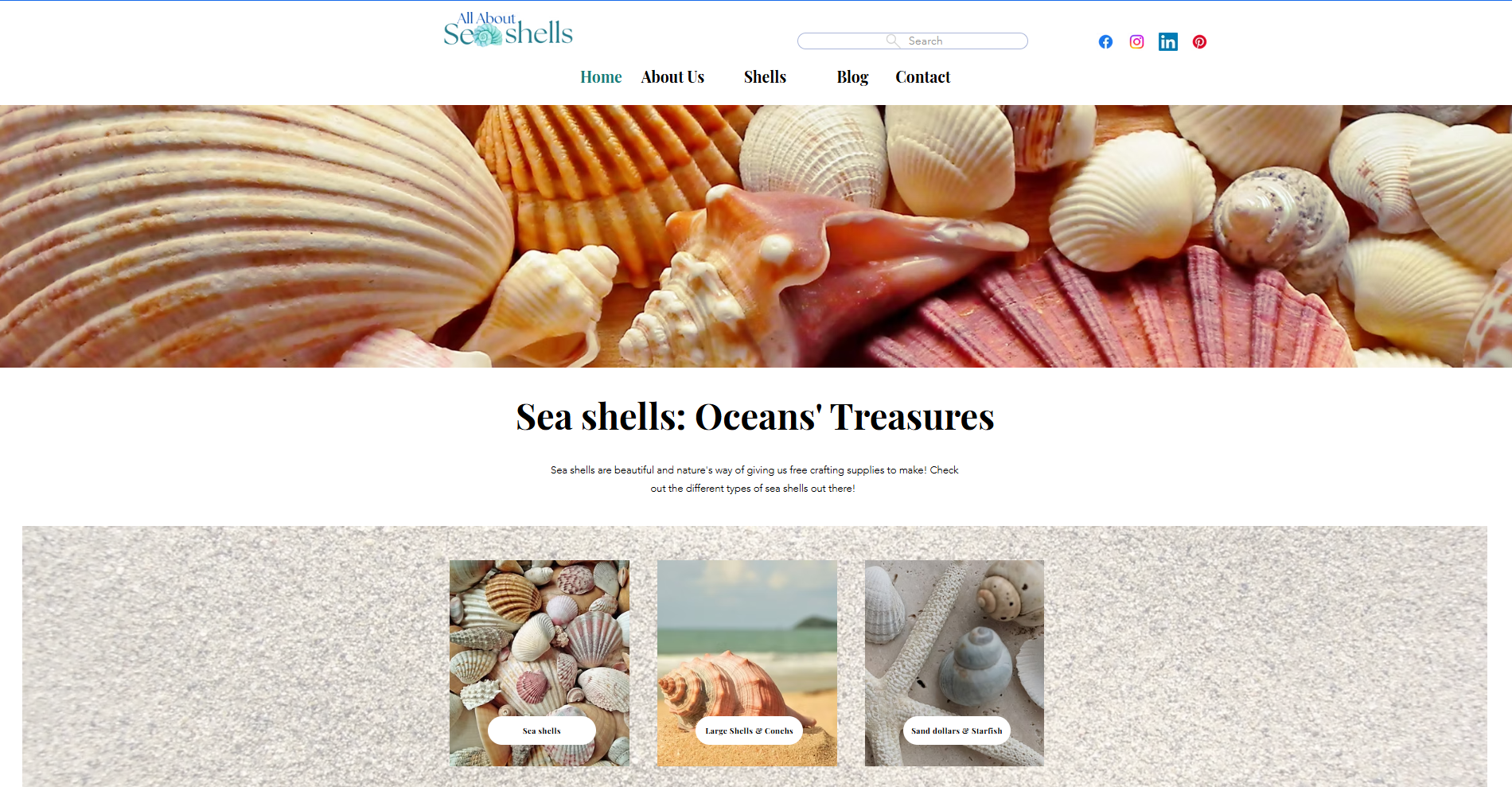 Click to view my final project using Wix to make a site all about sea shells