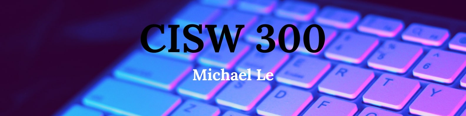 CISW 300 banner
