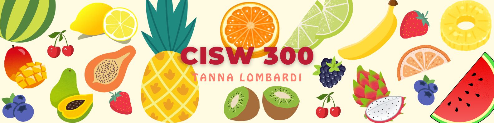 CISW 300 Banner Image