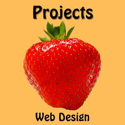 Web Design Projects Image