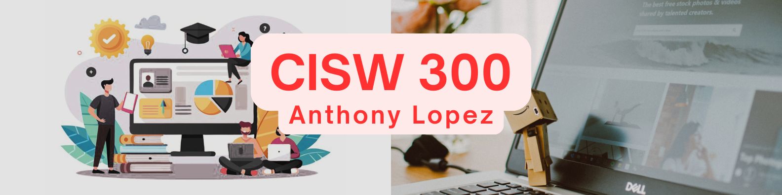 CISW 300 banner