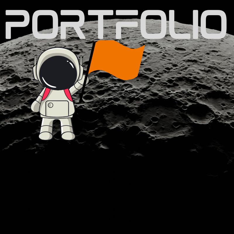 Portfolio Image
