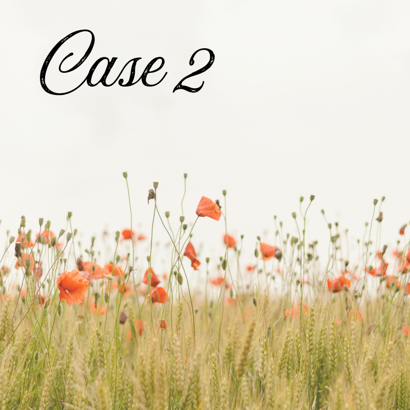 Case 2 Image