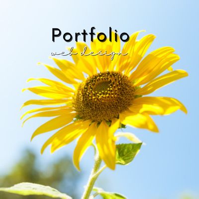 Portfolio Web Design Image
